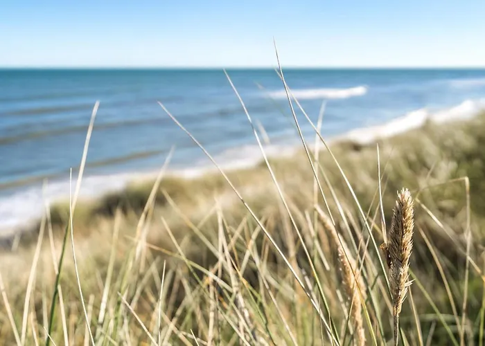 Jeldrik - 100m From The Sea By Interhome *